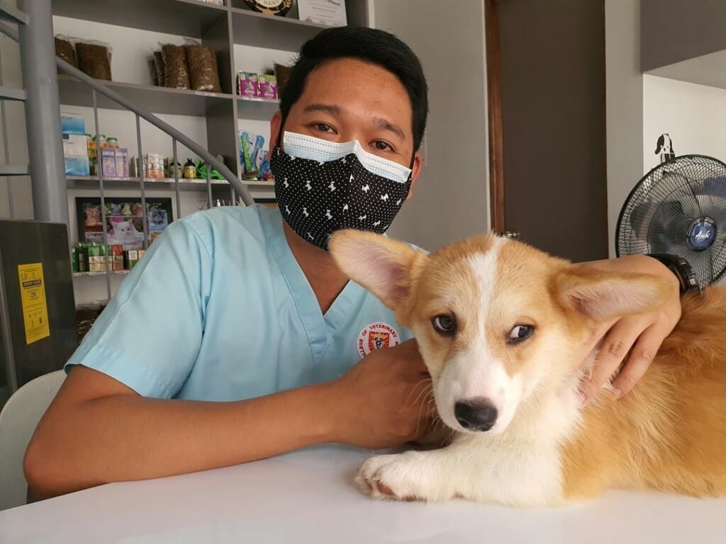 a man wearing a mask and sitting with a dog